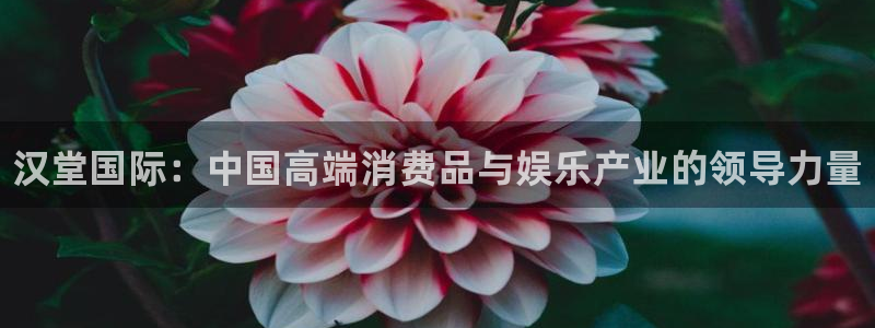 优贝娱乐平台注册开户：汉堂国际：中国高端消费品与娱乐产业的领