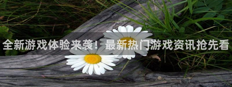 优贝娱乐4主管：全新游戏体验来袭！最新热门游戏资讯抢先看