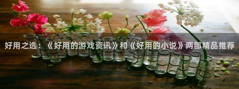 优贝娱乐官方注册登录：好用之选：《好用的游戏资讯》和《好用的