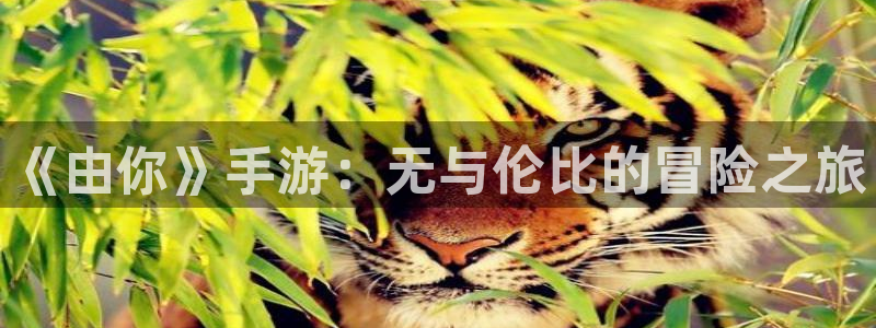 优贝娱乐平台注册：《由你》手游：无与伦比的冒险之旅