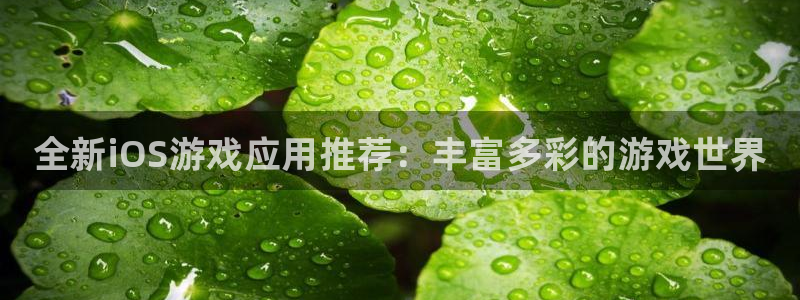 优贝娱乐测速：全新iOS游戏应用推荐：丰富多彩的游戏世界