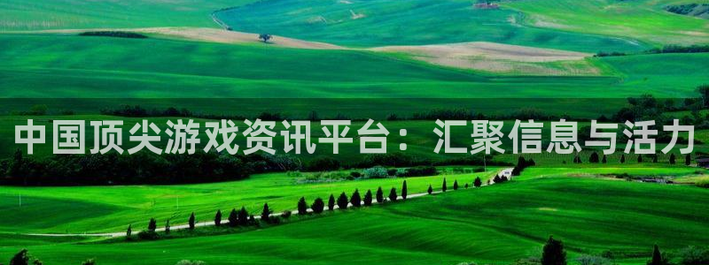 优贝娱乐登陆测速：中国顶尖游戏资讯平台：汇聚信息与活力