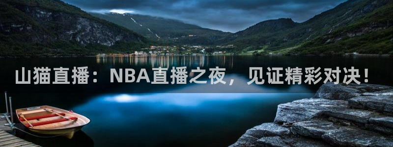 劲爆体育 nba：山猫直播：NBA直播之夜，见证精彩对决！