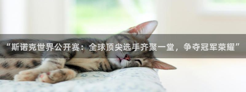 劲爆体育nba直播视频免费观看：“斯诺克世界公开赛：全球顶尖选手齐聚一堂，争夺冠军荣耀”