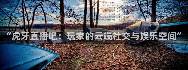 劲爆体育在线高清直播nba：“虎牙直播吧：玩家的云端社交与娱乐空间”